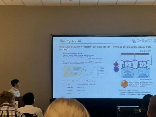 Ibms Presentation